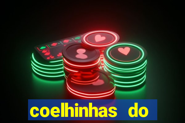 coelhinhas do brasil recife